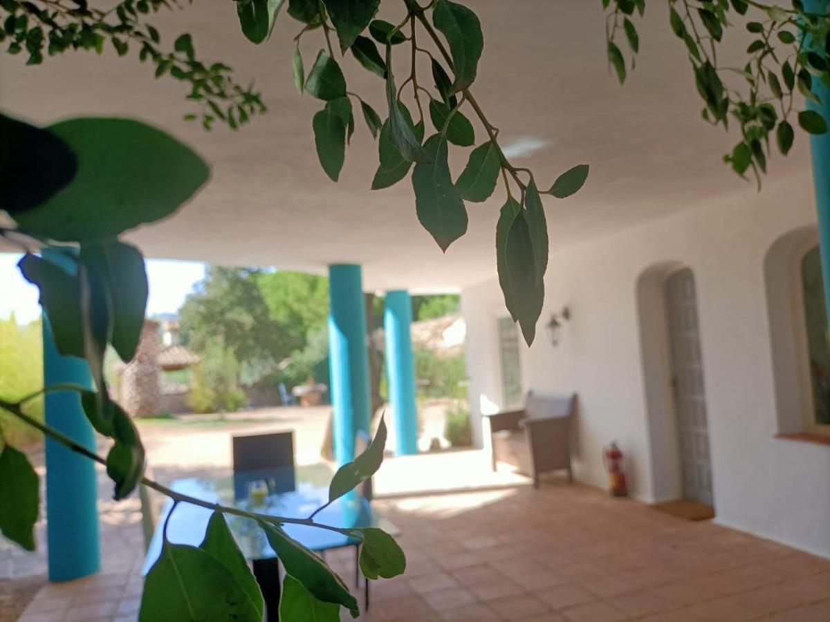 Tottam Art & Healthy Garden Villa Малага Екстериор снимка